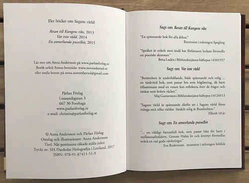 När pottisarna råkade stjäla julen