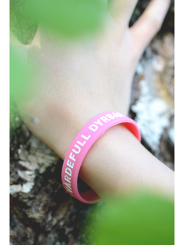 Silikonarmband i Tonårsstorlek -Älskad, Värdefull, Dyrbar...
